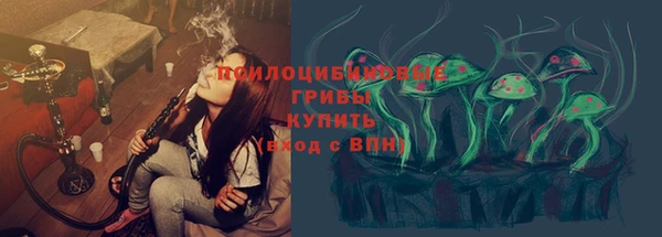 Альфа ПВП Абаза