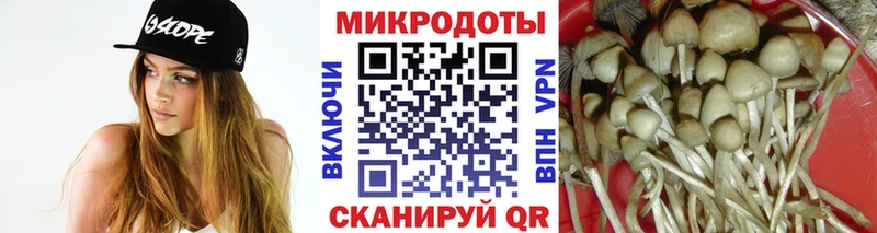 цены   Рыльск  Галлюциногенные грибы Magic Shrooms 